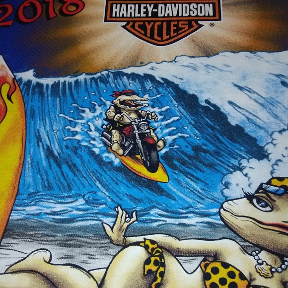 HARLEY DAVIDSON 2018 PANAMA CITY BEACH FLORIDA - Picture 3 of 12